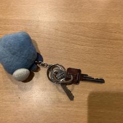 Klíče, jak nahlášeno Gemeente Amsterdam pomocí iLost