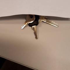 Nyckel, rapporterat av Zuyderland MC Sittard-Geleen med iLost