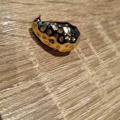 Náušnice, jak nahlášeno Van der Valk Hotel Apeldoorn - De Cantharel pomocí iLost