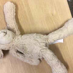 ぬいぐるみ がiLostで Canisius-Wilhelmina Ziekenhuis によって報告されました