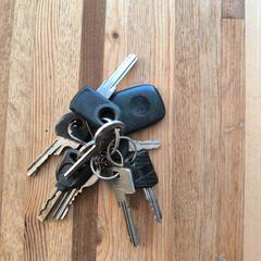 Sleutelbos, as reported to iLost