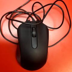 Mysz, zgłoszono przez UvA REC przy użyciu iLost