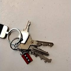 Keys, as reported by GVB using iLost