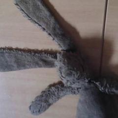 Plüss, amint azt Het Spoorwegmuseum az iLost segítségével jelentette.