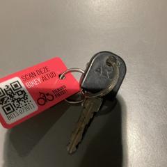 자전거 열쇠 fietssleutel, iLost를 사용하여 Pathé Tilburg Stappegoor에 보고됨