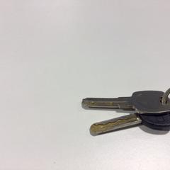 Keys, as reported by Gemeente Veenendaal using iLost