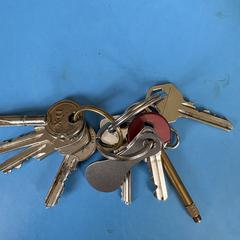 Sleutelbos, ako bolo nahlásené iLost