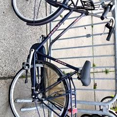 Dámské kolo Pointer, jak nahlášeno Stadswerk072 pomocí iLost