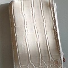 Titular de la targeta, segons ha informat Regio Antwerpen - Brussel mitjançant iLost