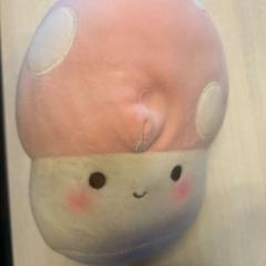 Hračka, ako bolo nahlásené Hotel Apeldoorn pomocou iLost