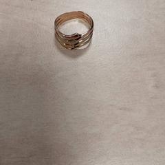 Anel Goudkleurig, segundo informou Arriva Vechtdallijnen usando iLost