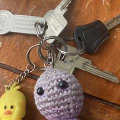 Sleutels, segundo informou a iLost