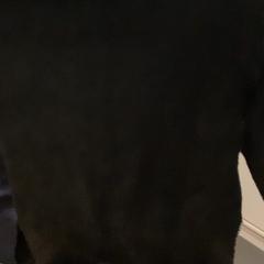 Jertsea Black, gisa salatu by MEININGER Hotel Vienna Downtown Sissi iLost erabiliz