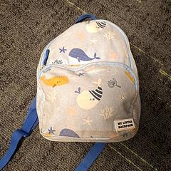 Rugtas, rapporterat av Connexxion Noord Holland Noord Hoorn med iLost