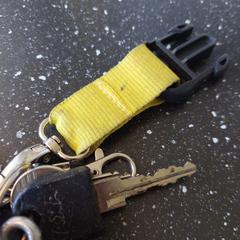 Sleutelbos, come riportato a iLost