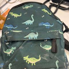 Bag, as reported by Gebo Tours using iLost