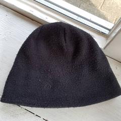 Beanie Zwart, gemeldet von DierenPark Amersfoort über iLost