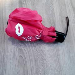 Összecsukható esernyő Rose, amint azt EBS Tramplein az iLost segítségével jelentette.