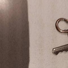 Llave, ha sido reportado por De Efteling con iLost