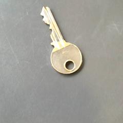 Schlüssel Sleutel, gemeldet von Burgers' Zoo über iLost