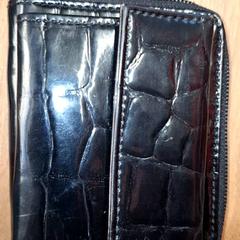 Carteira Alkhalaf, como reportado por Qbuzz DMG utilizando o iLost