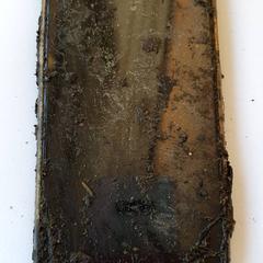 Telefoon, jak nahlášeno DierenPark Amersfoort pomocí iLost