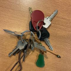 Sleutelbos, gisa salatu by Gemeente Amsterdam iLost erabiliz