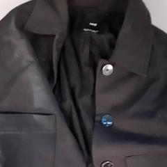 Chaqueta Zwart, segundo informou Diergaarde Blijdorp usando iLost