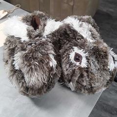 Pantoffels, as reported by Arriva Friesland / Groningen using iLost