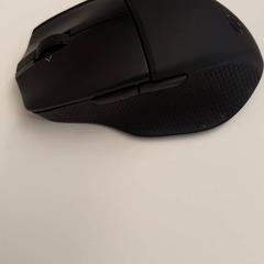 Rato Zwart, segundo informou HvA Amstelcampus usando iLost