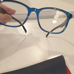 İLost kullanarak Gemeente Meierijstad tarafından bildirildiği gibi Gözlük kabı Bril blauw montuur