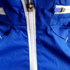 Chaqueta Blauw, segundo informou DierenPark Amersfoort usando iLost