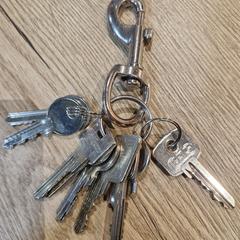 Sleutelbos, ako bolo nahlásené iLost