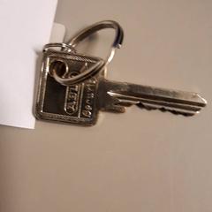 Chiave, come riportato da Zuyderland MC Sittard-Geleen utilizzando iLost