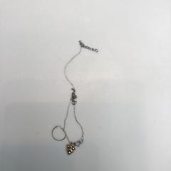 Ketting, as reported by Rijksmuseum using iLost