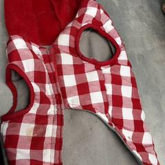 İLost kullanarak Arriva Friesland / Groningen tarafından bildirildiği gibi Gömlek Rood en wit