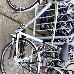 Bicicleta masculina Gazelle, segundo informou Stadswerk072 usando iLost