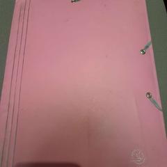 Clutch bag rose, as reported by TCL using iLost