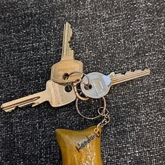 Bos sleutels met  label Honduras eraan., come riportato a iLost