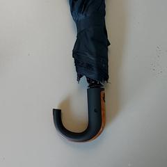 Paraplu, zgłoszono przez Regio Limburg - Leuven przy użyciu iLost