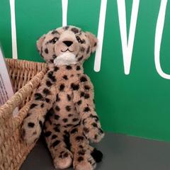 Mazlící hračka, jak nahlášeno Diergaarde Blijdorp pomocí iLost