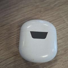 Earpoddoos, zoals gemeld door EBS OV Poeldijk met iLost