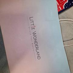 Táska, amint azt Qbuzz DMG az iLost segítségével jelentette.