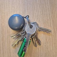 Chaveiro, segundo informou Canisius-Wilhelmina Ziekenhuis usando iLost