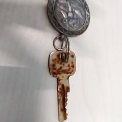 Llave, ha sido reportado por Arriva Limburg Zuid con iLost