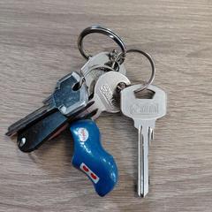 Claus, segons ha informat EBS OV Poeldijk mitjançant iLost