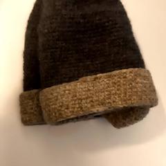 Beanie, amint azt Arriva Limburg Noord az iLost segítségével jelentette.