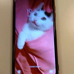 Mobiltelefon Zwart Samsung, rapporterat av Vrije Universiteit Amsterdam med iLost