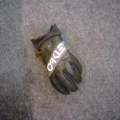 Handschuh, gemeldet von SnowWorld Landgraaf über iLost