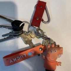 Chaves, segundo informou Gemeente Amsterdam usando iLost